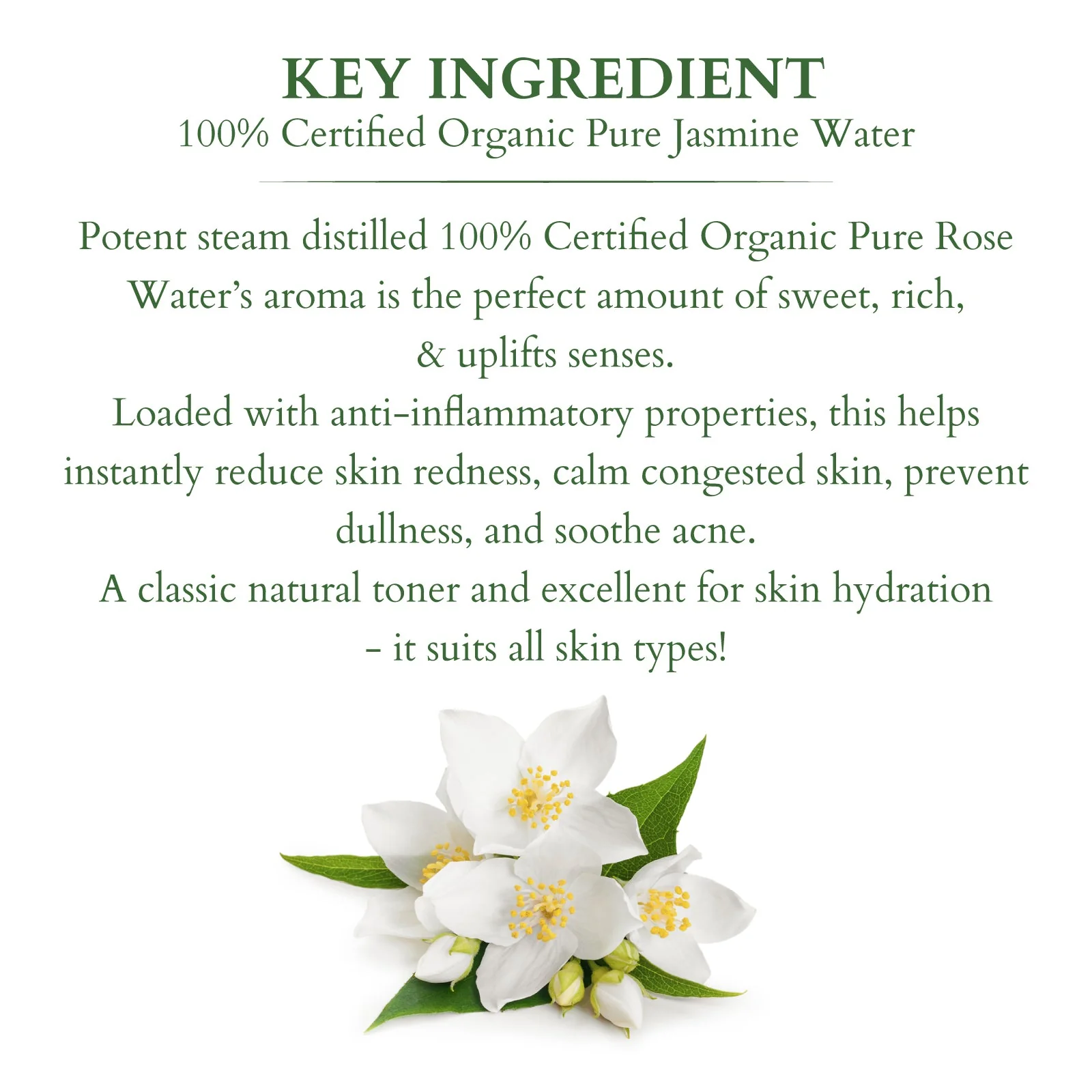 Organics+ 100% PURE JASMINE FLORAL WATER - Image 3
