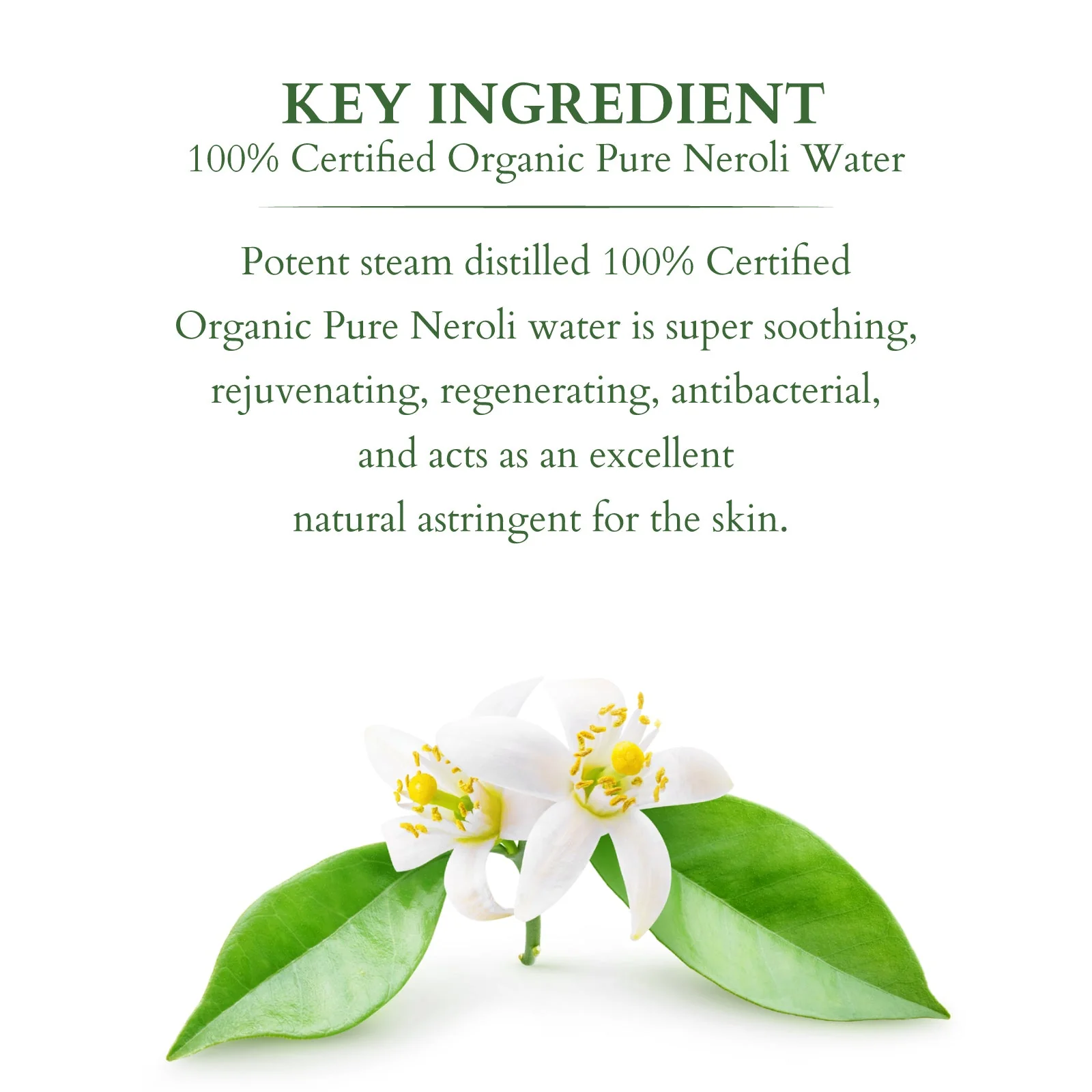 Organics+ 100% PURE NEROLI FLORAL WATER - Image 3