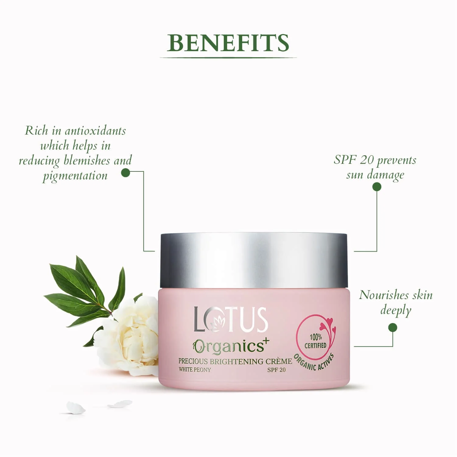 Organics+ Body Brightening Indulgence Set - Image 5