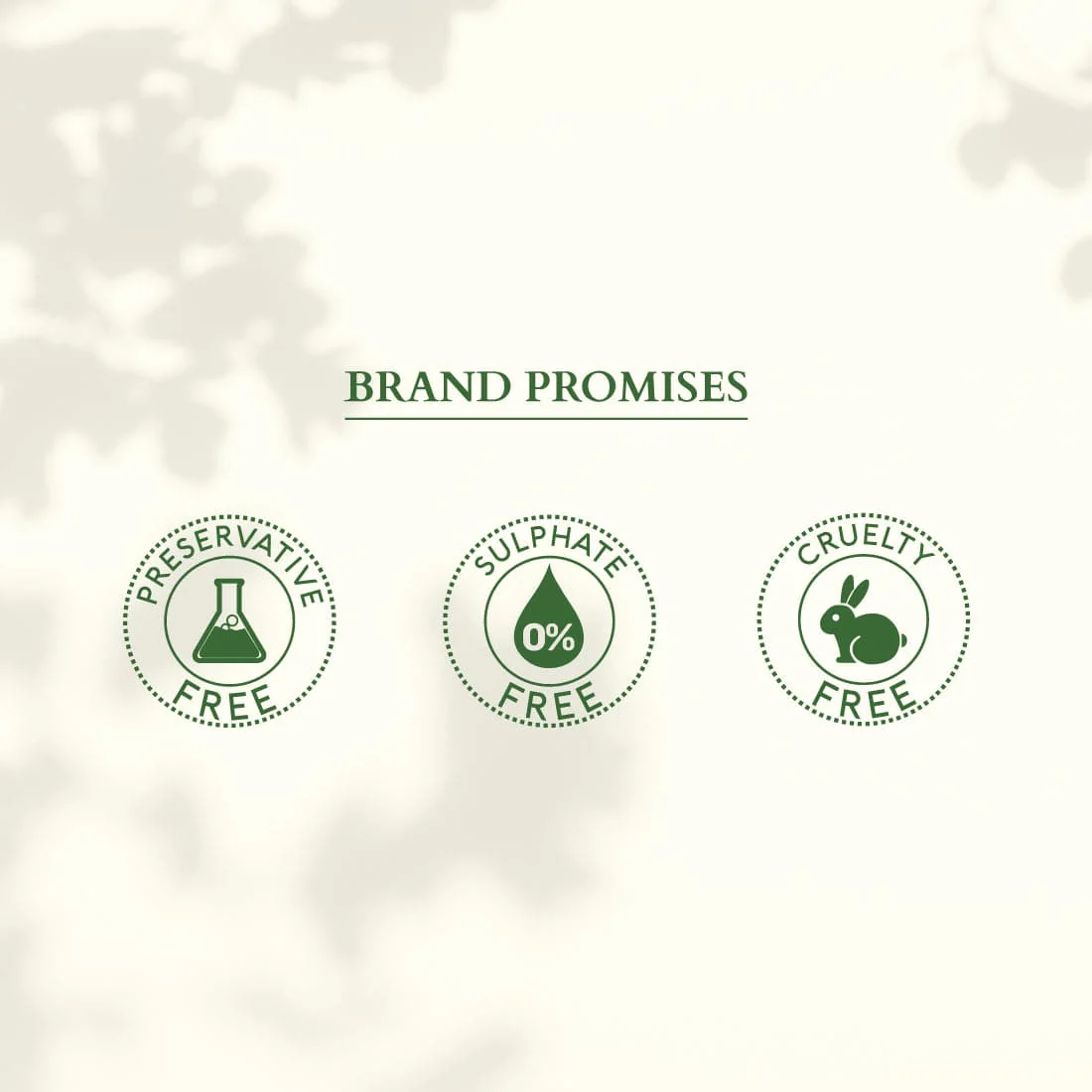 Organics+ Brightening De-tan Kit + Free sunscreen - Image 5