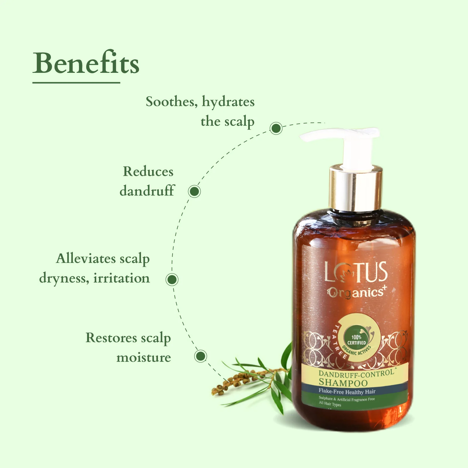 Organics+ Chemical-Free Anti-Dandruff Shampoo - Image 4