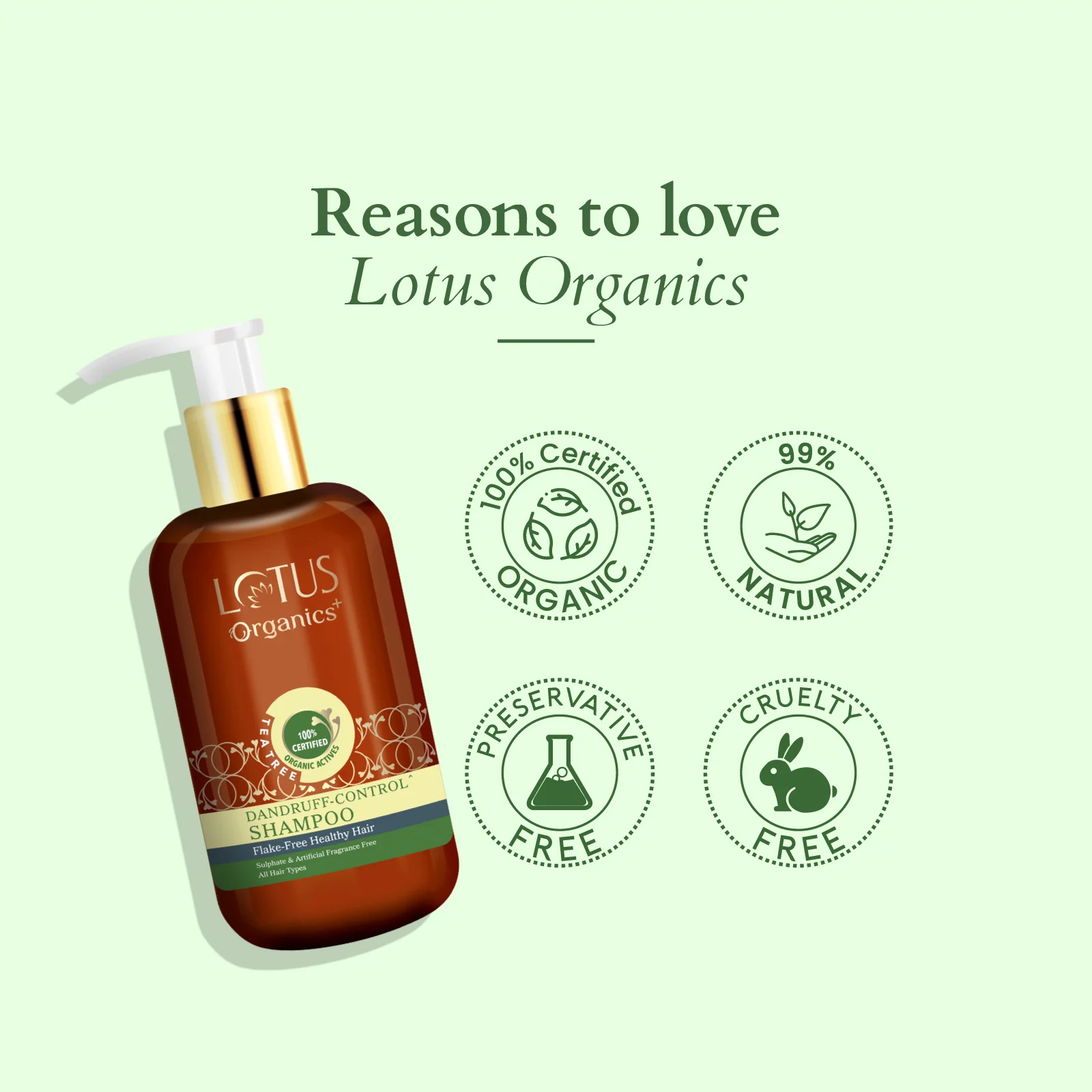 Organics+ Chemical-Free Anti-Dandruff Shampoo - Image 6