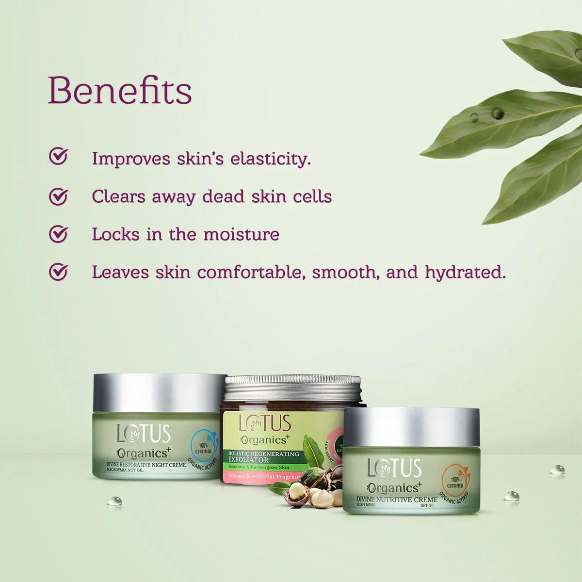Divine Day and Night Rejuvenation Regime - Image 3