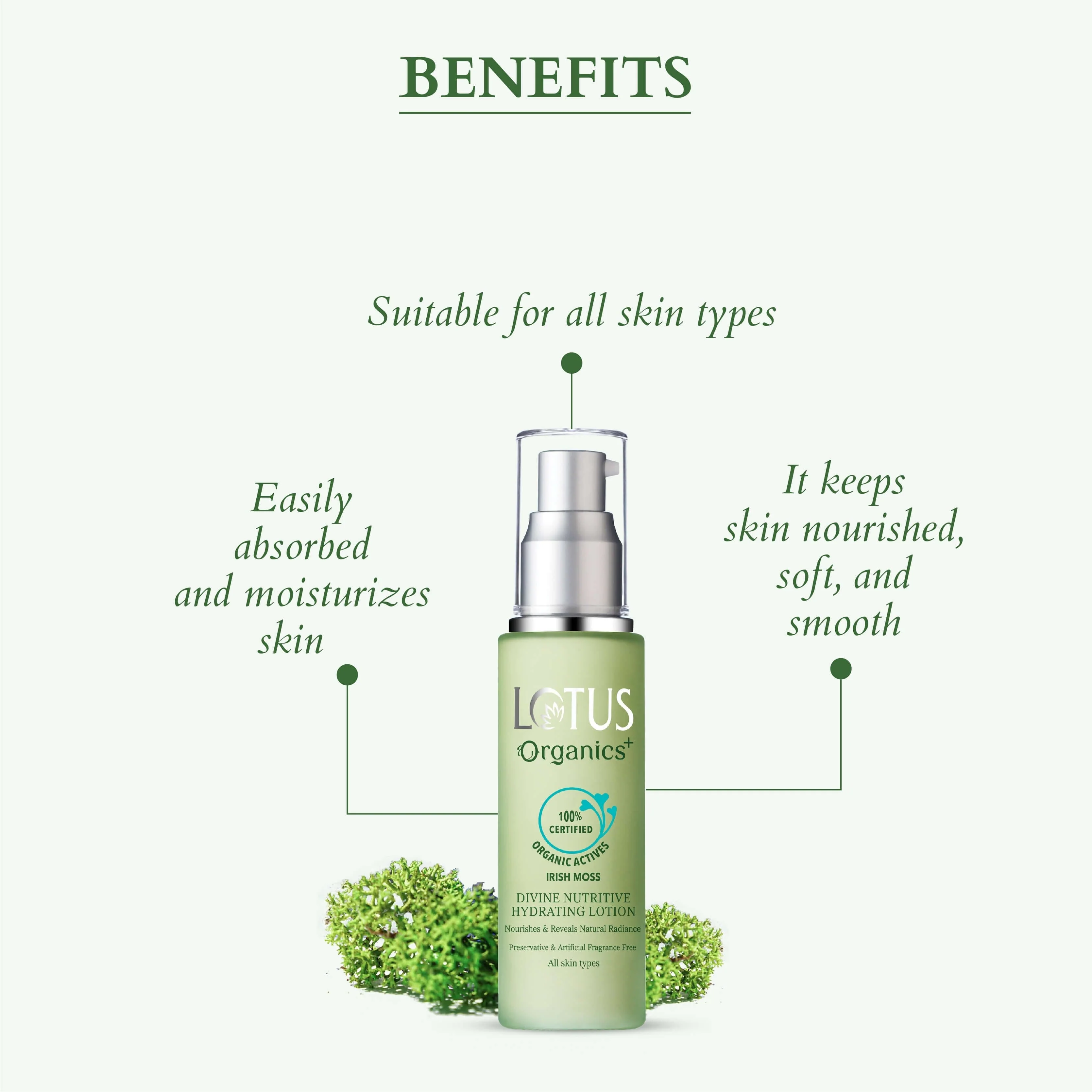 Divine Hydrating Glow Collection - Image 5