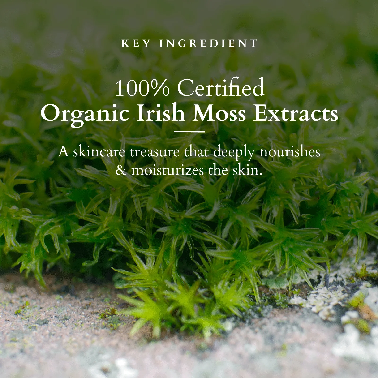 Divine Nourish Face Wash - Image 3