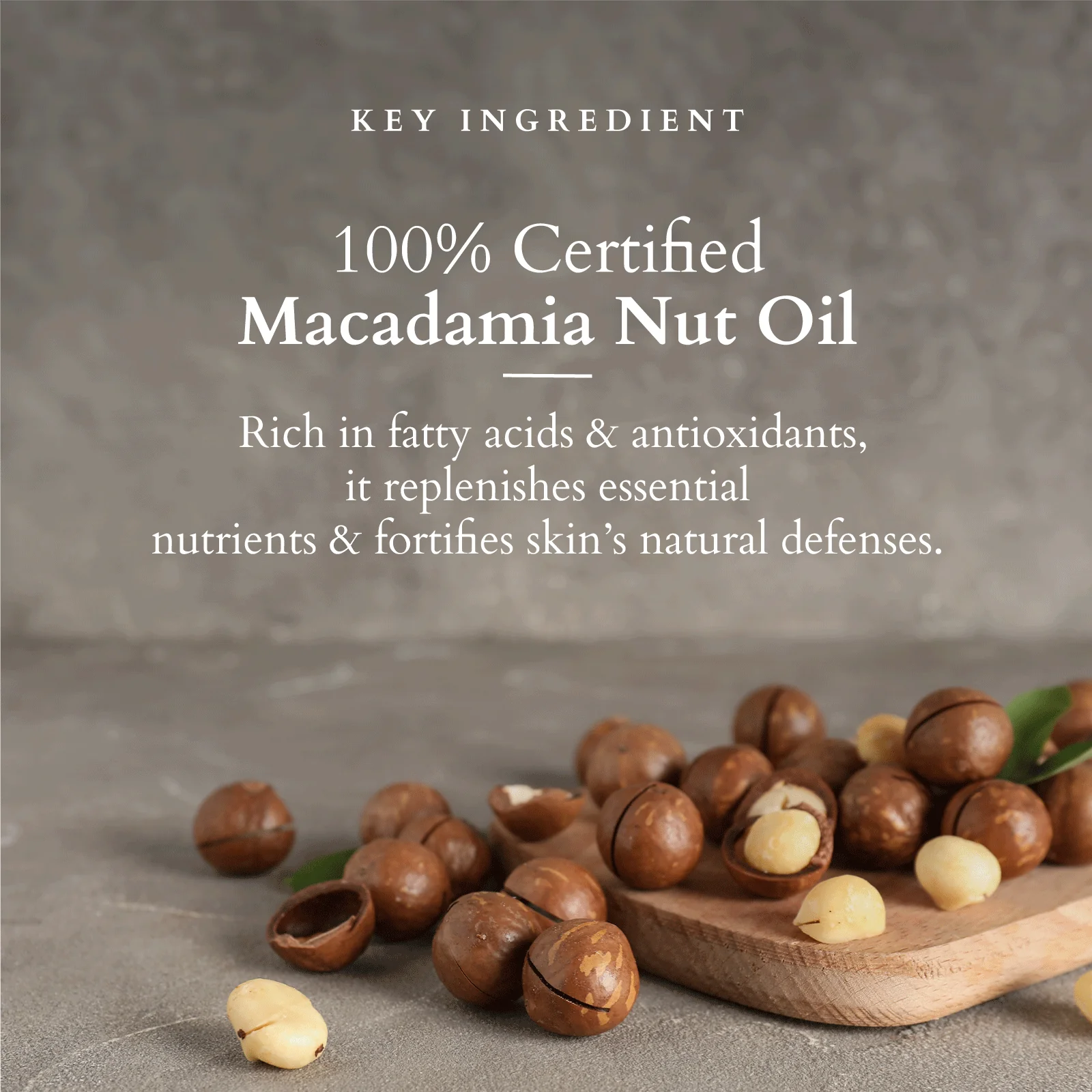 Divine Restorative Night Cream - Image 3
