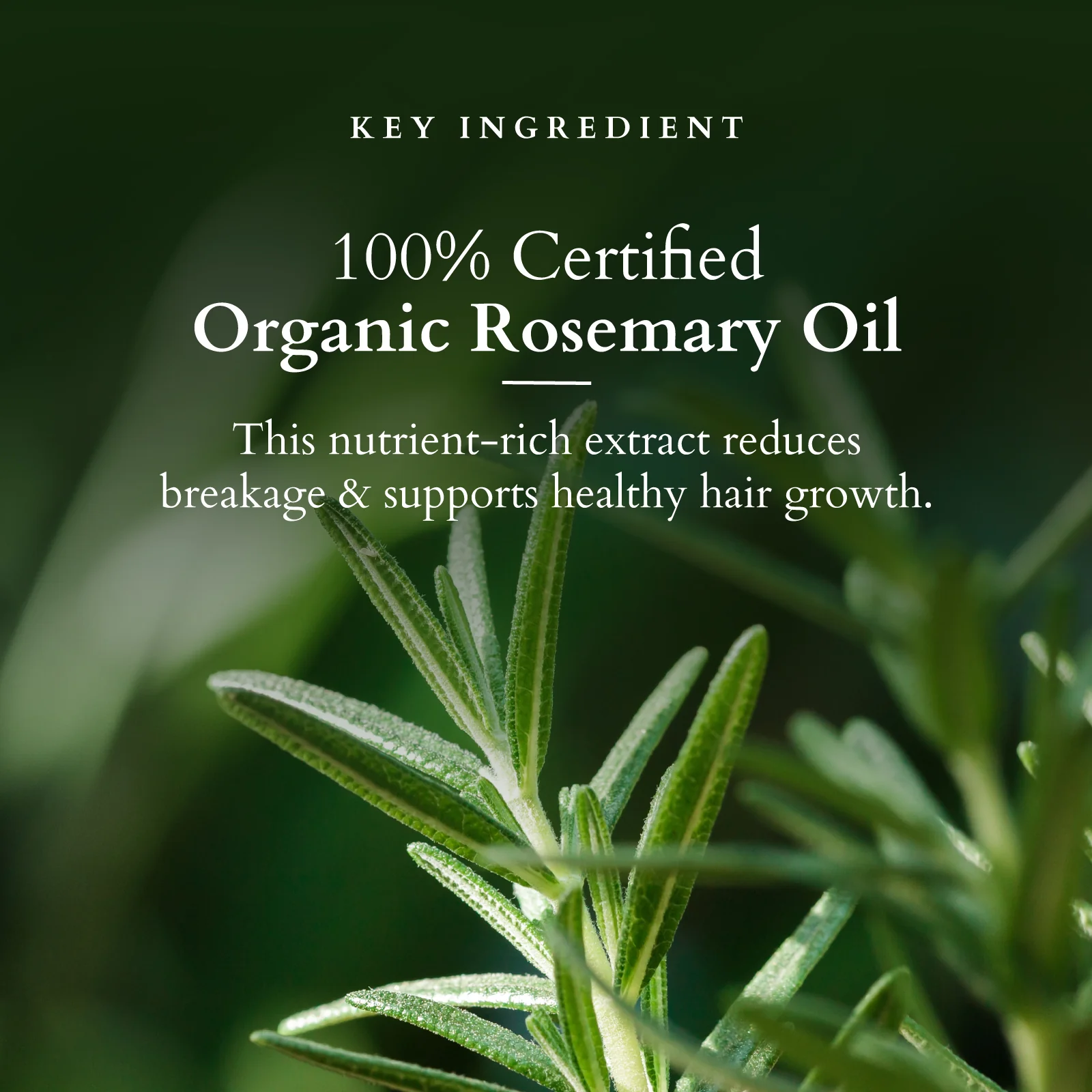Organics+ Hair Fall Control Conditioner - Image 8