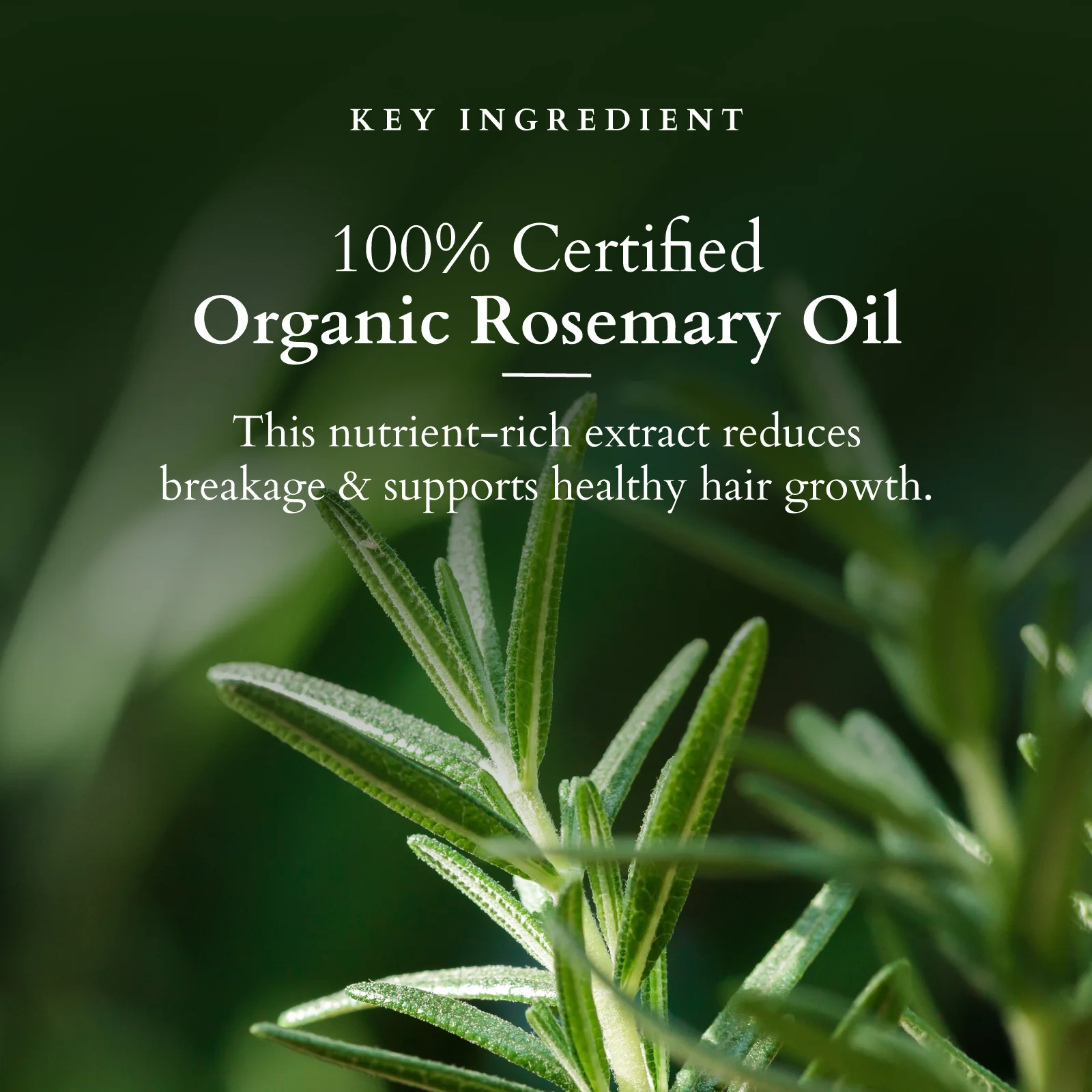 Organics+ Hair Fall Control Shampoo - Image 3