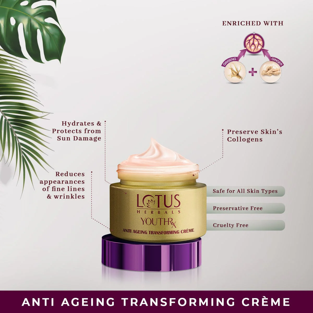 YouthRX Wrinkle Defense Combo - Image 2