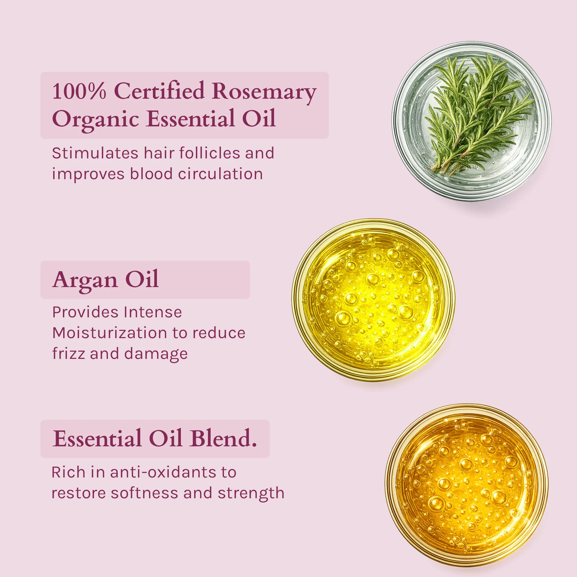 Lotus Organics+ Strong Roots Conditioner - Image 3