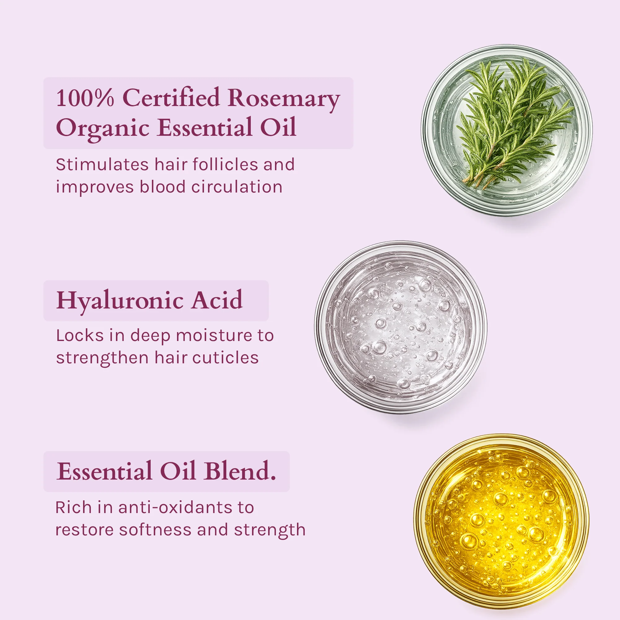 Lotus Organics+ Strong Roots Shampoo - Image 3