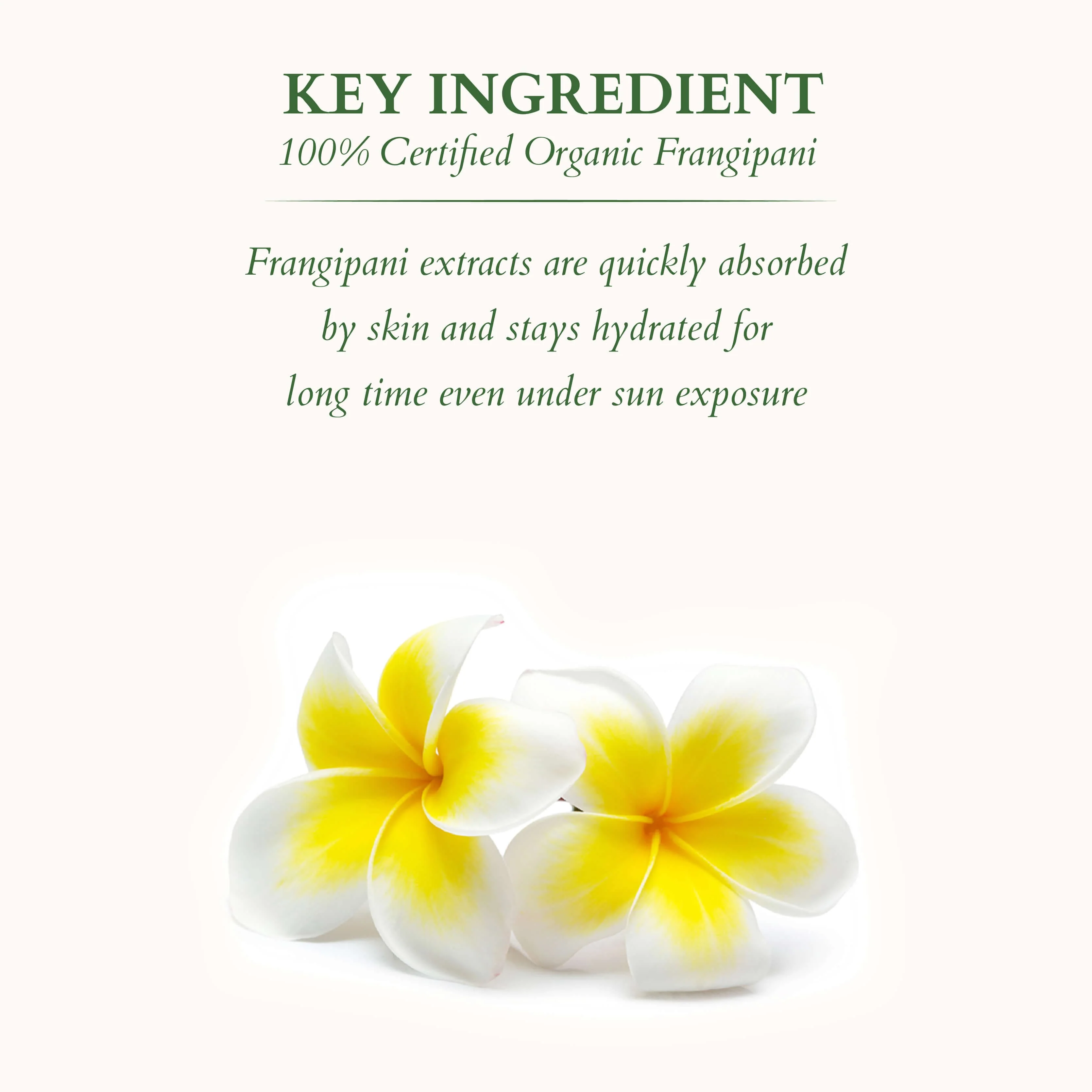 Lotus Organics+ Mineral Sunscreen: SPF 30 + SPF 30 - Image 4