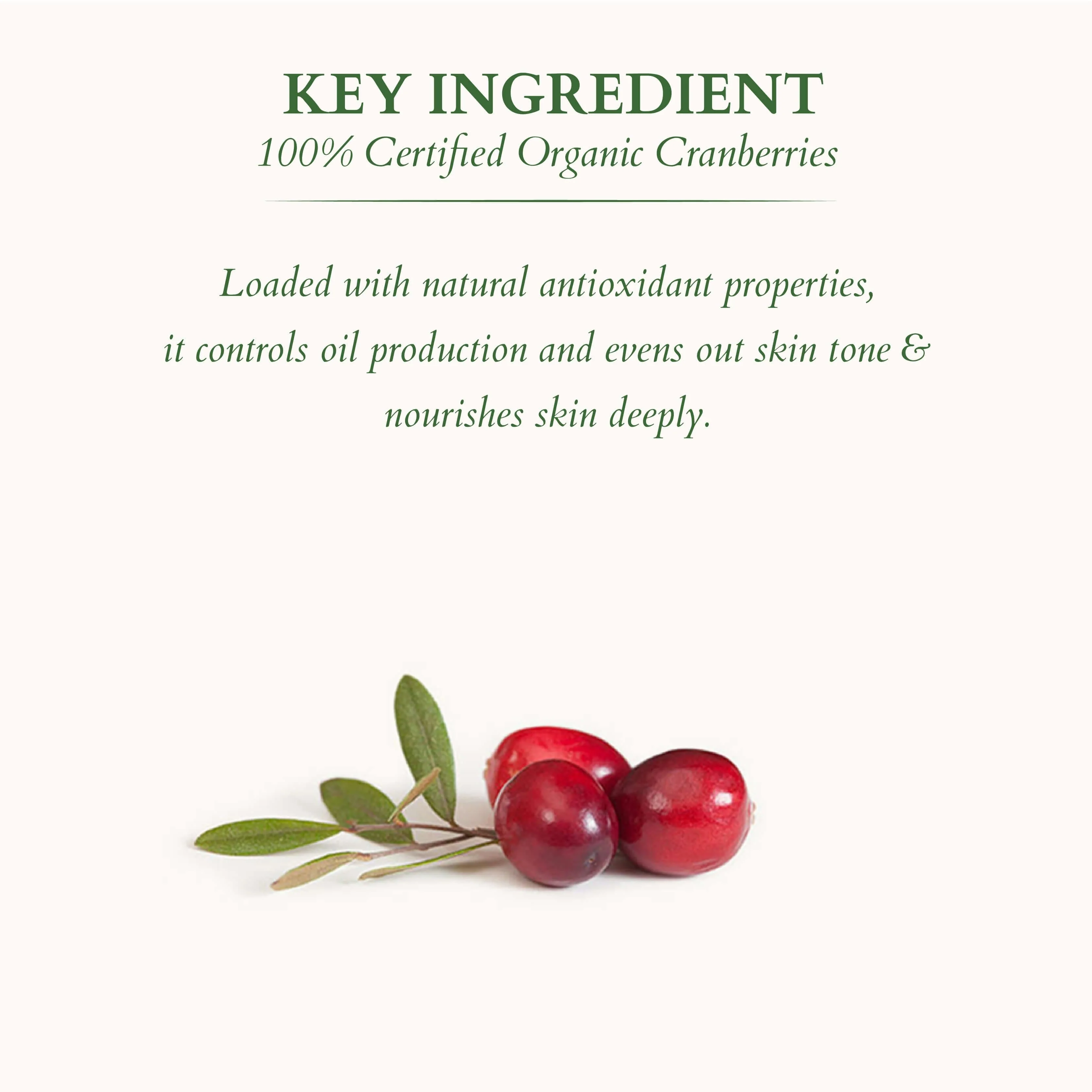 Organics+ Mineral Sunscreen: SPF 40 + SPF 50 - Image 5