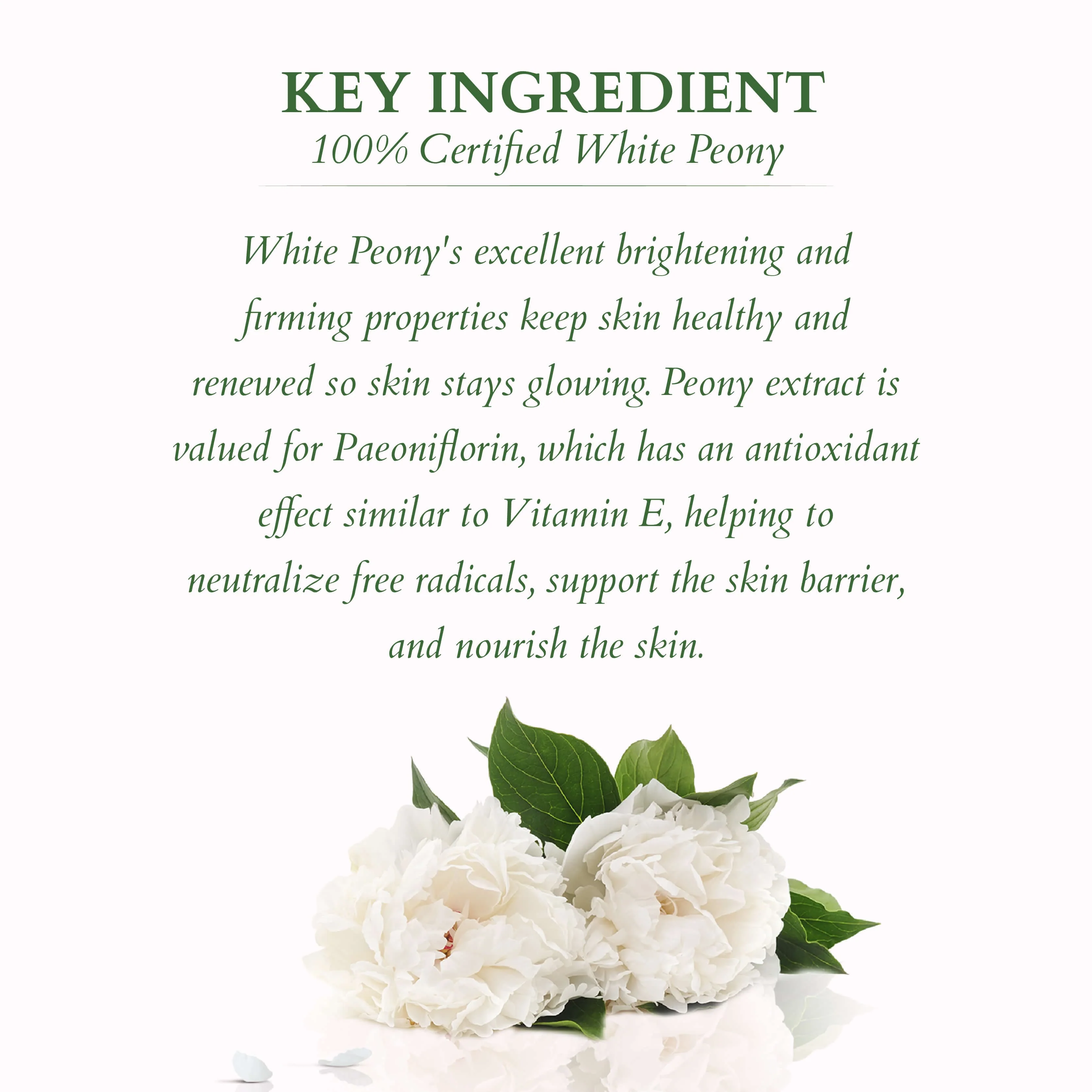 Organics+ Mineral Sunscreen: SPF 50 + SPF 50 - Image 5