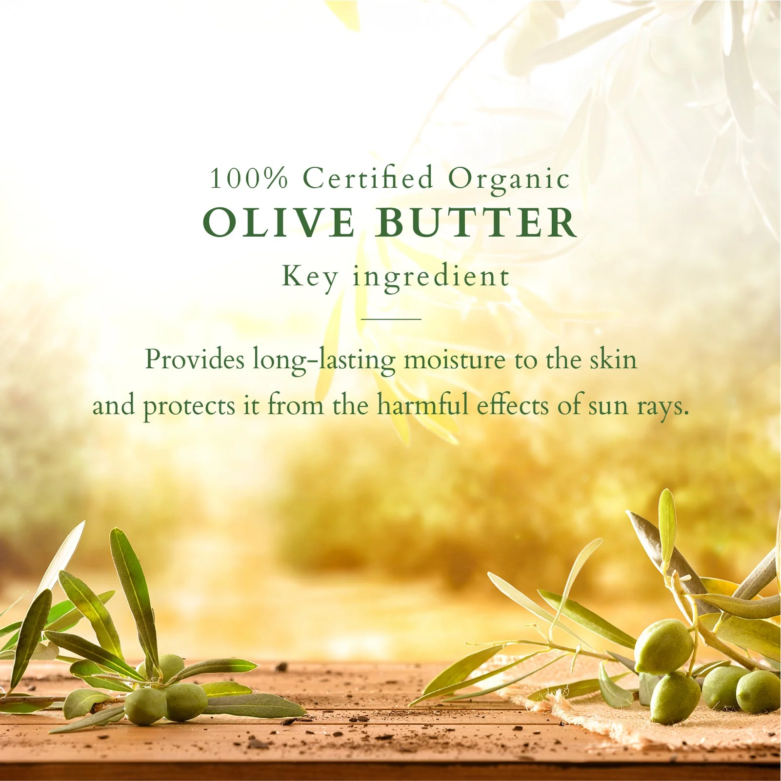 Organics+ Mystic Indulgence Body Lotion SPF 20 - Image 3