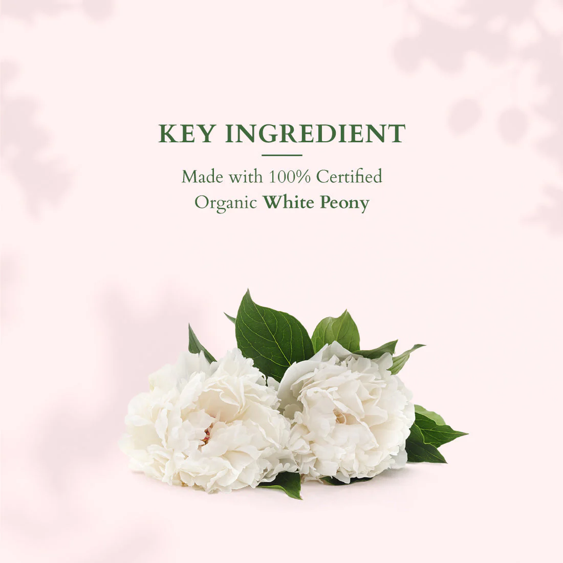 Skin Brightening On the Go Glow Combo Pack - Image 2