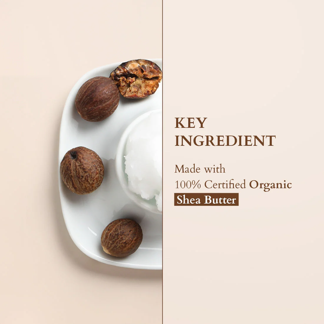 Organics+ Shea Luxe Tinted Moisturiser - Image 16