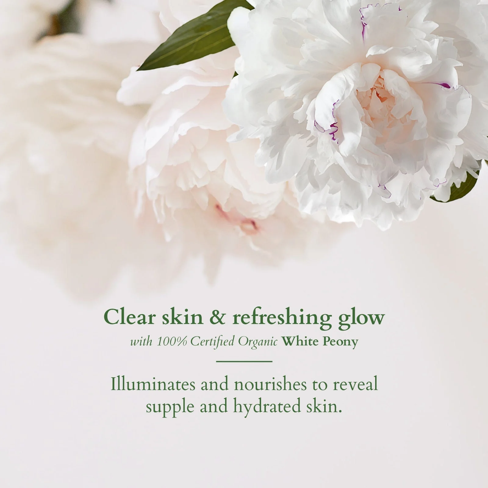 Precious Brightening Face Wash - Image 3