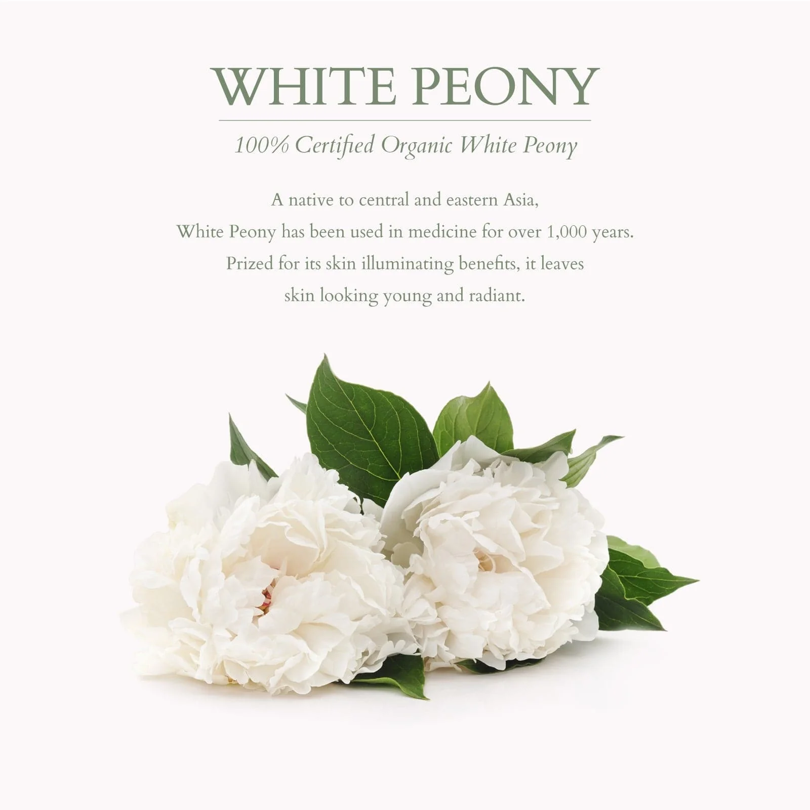 Precious Brightening Glow Discovery Set - Image 6