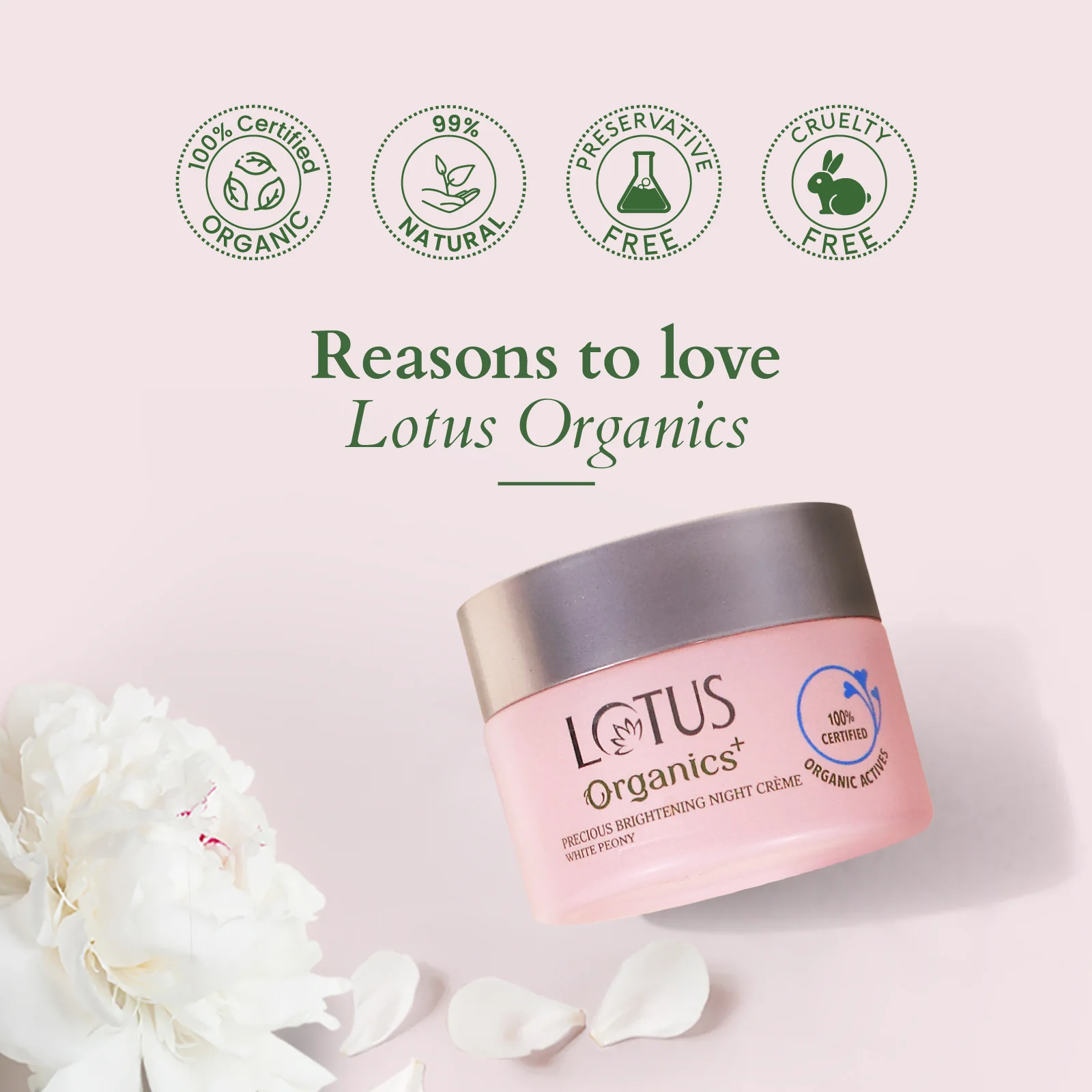 Precious Brightening Night Creme - Image 9