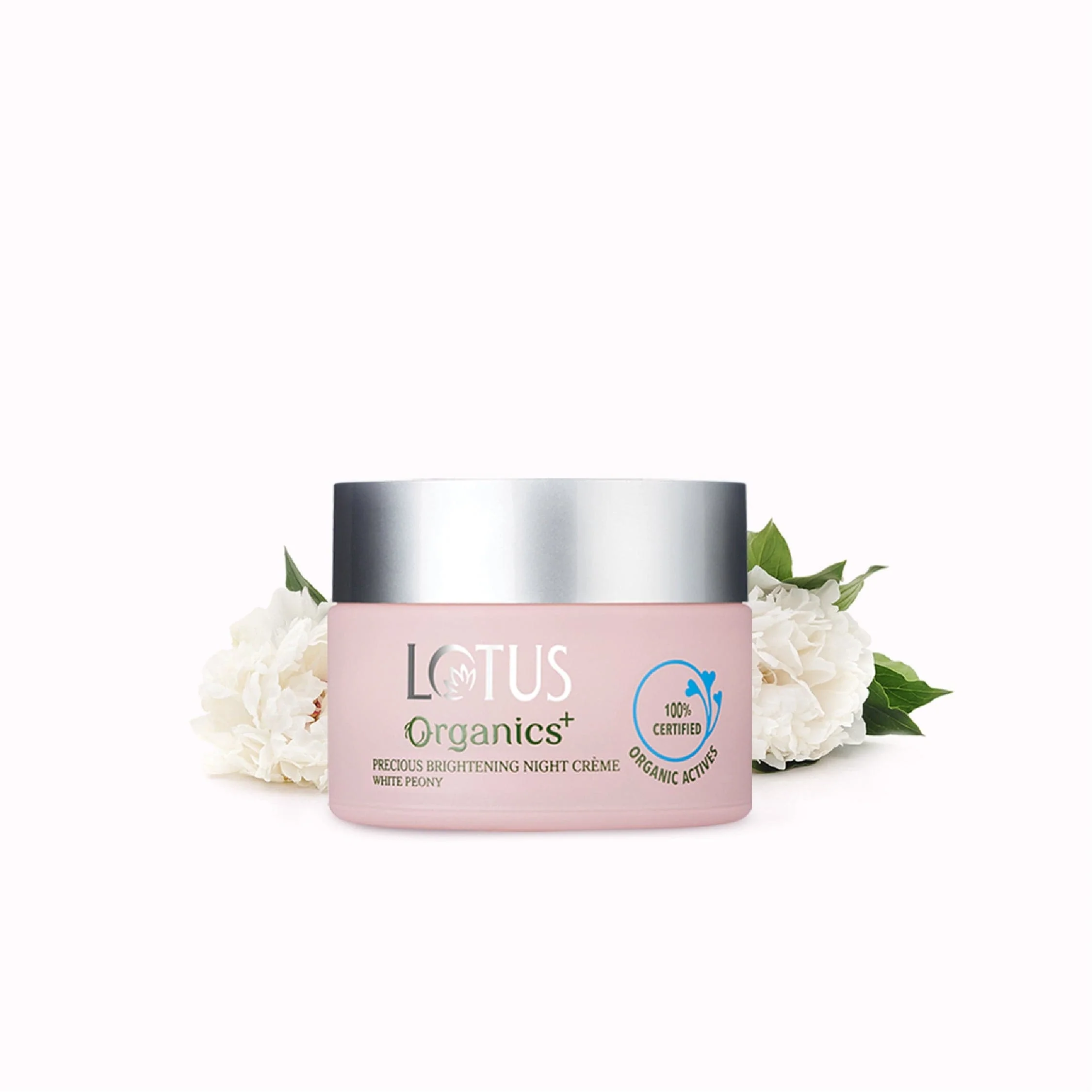 Precious Brightening Overnight Indulgence Regime - Image 2