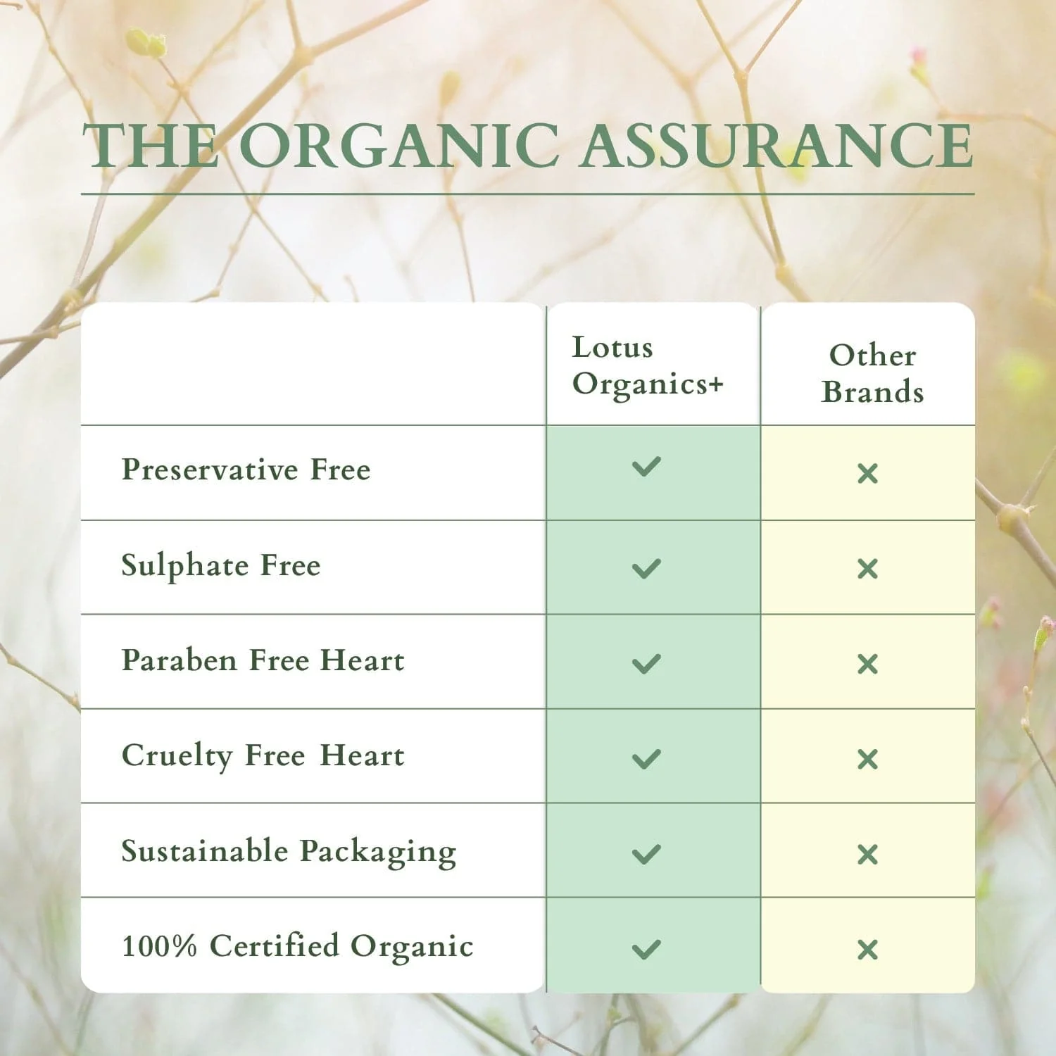 Precious Brightening & Protecting Beauty Set - Image 6