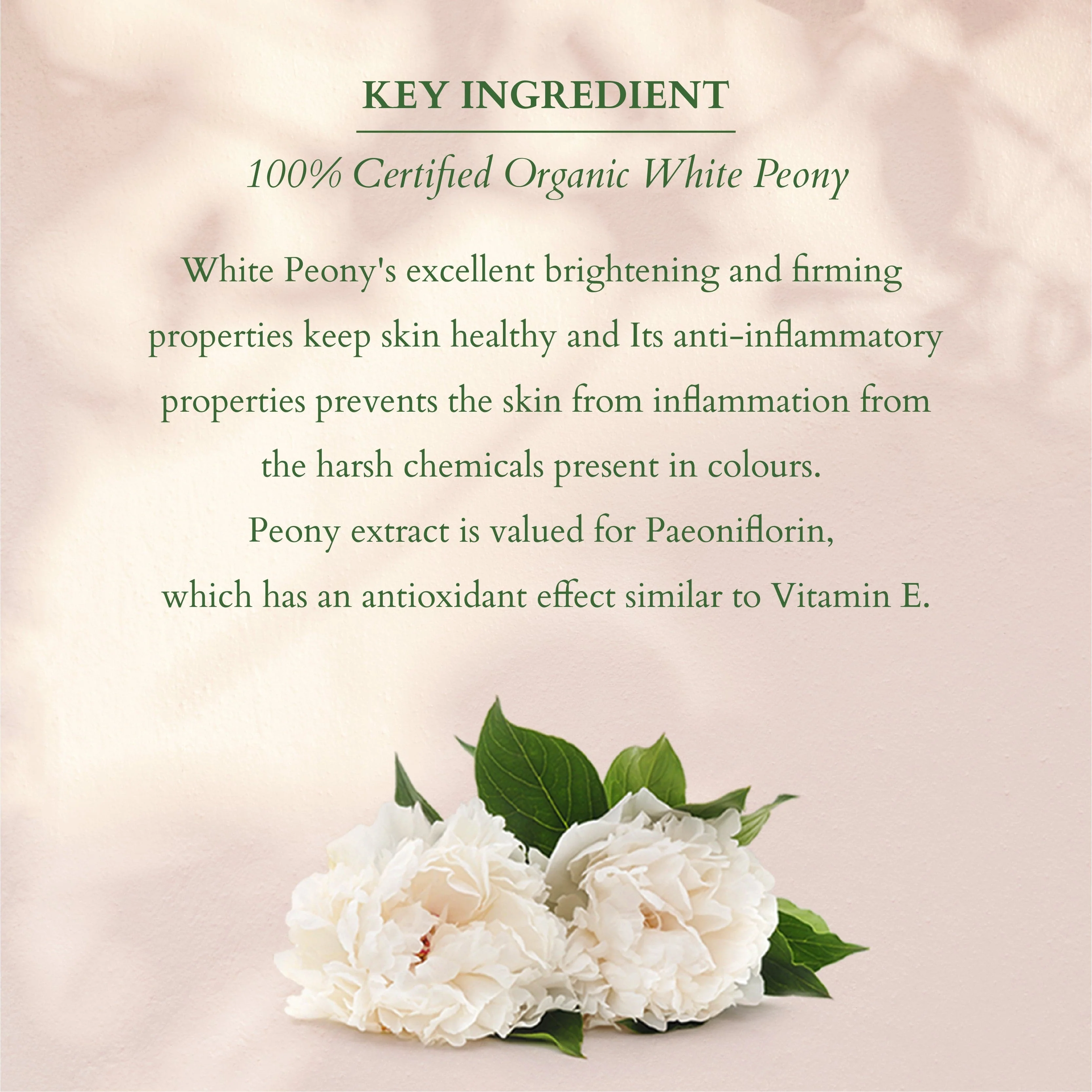 Precious Brightening Radiant Beauty Combo - Image 4