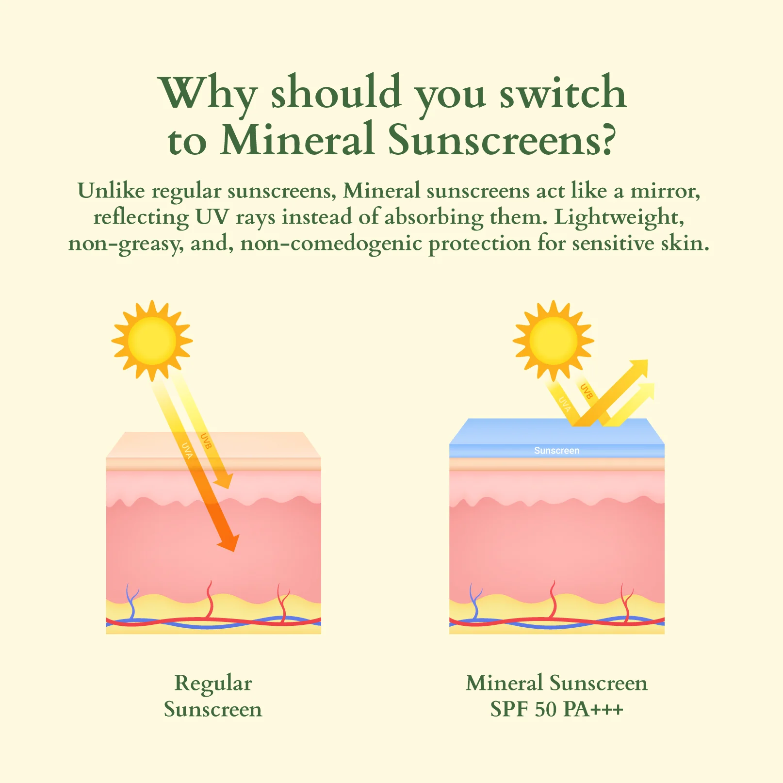 Organics+ Sheer Brightening Mineral Sunscreen SPF 50 PA+++ - Image 5