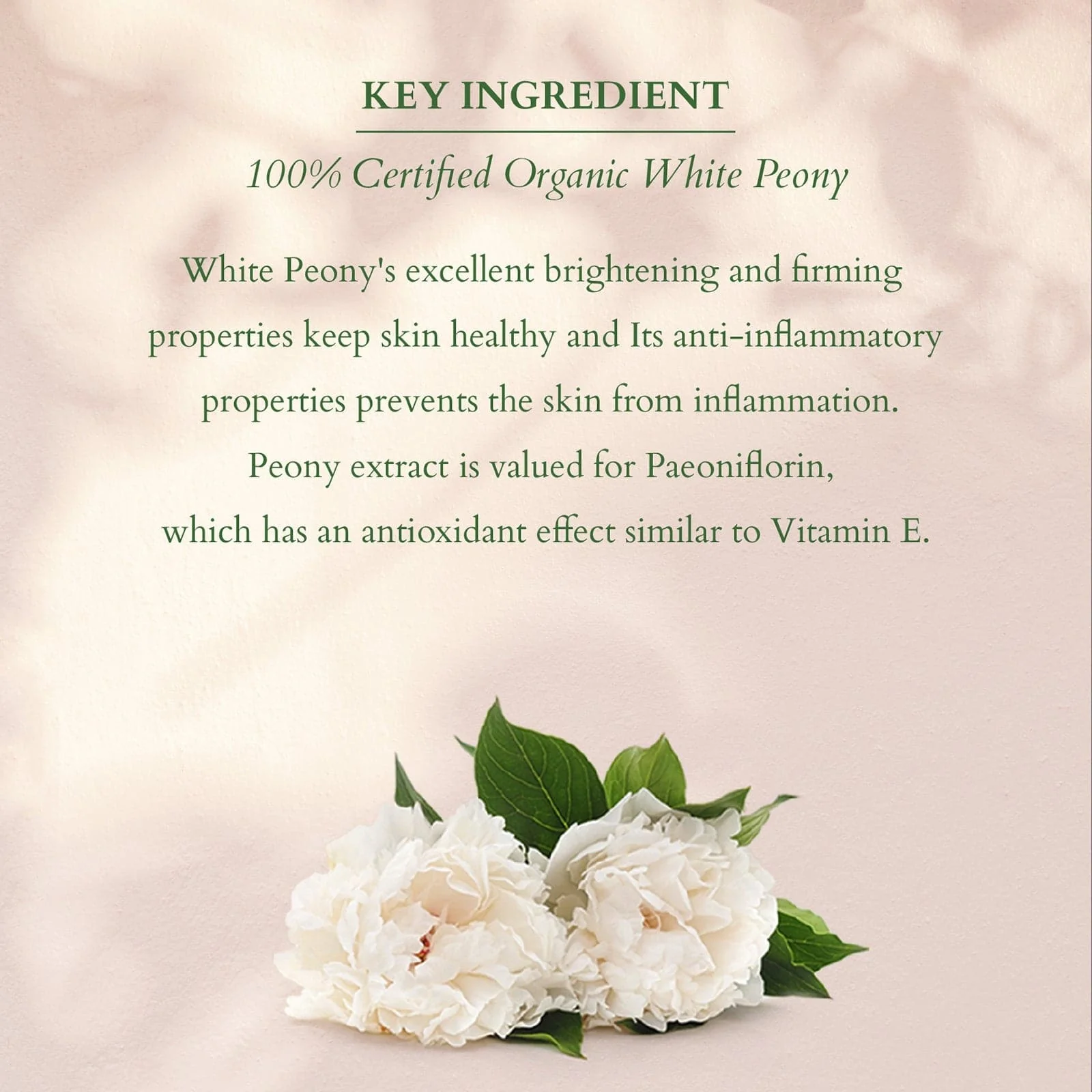Organics+ Summer Bakuchiol Combo - Image 5