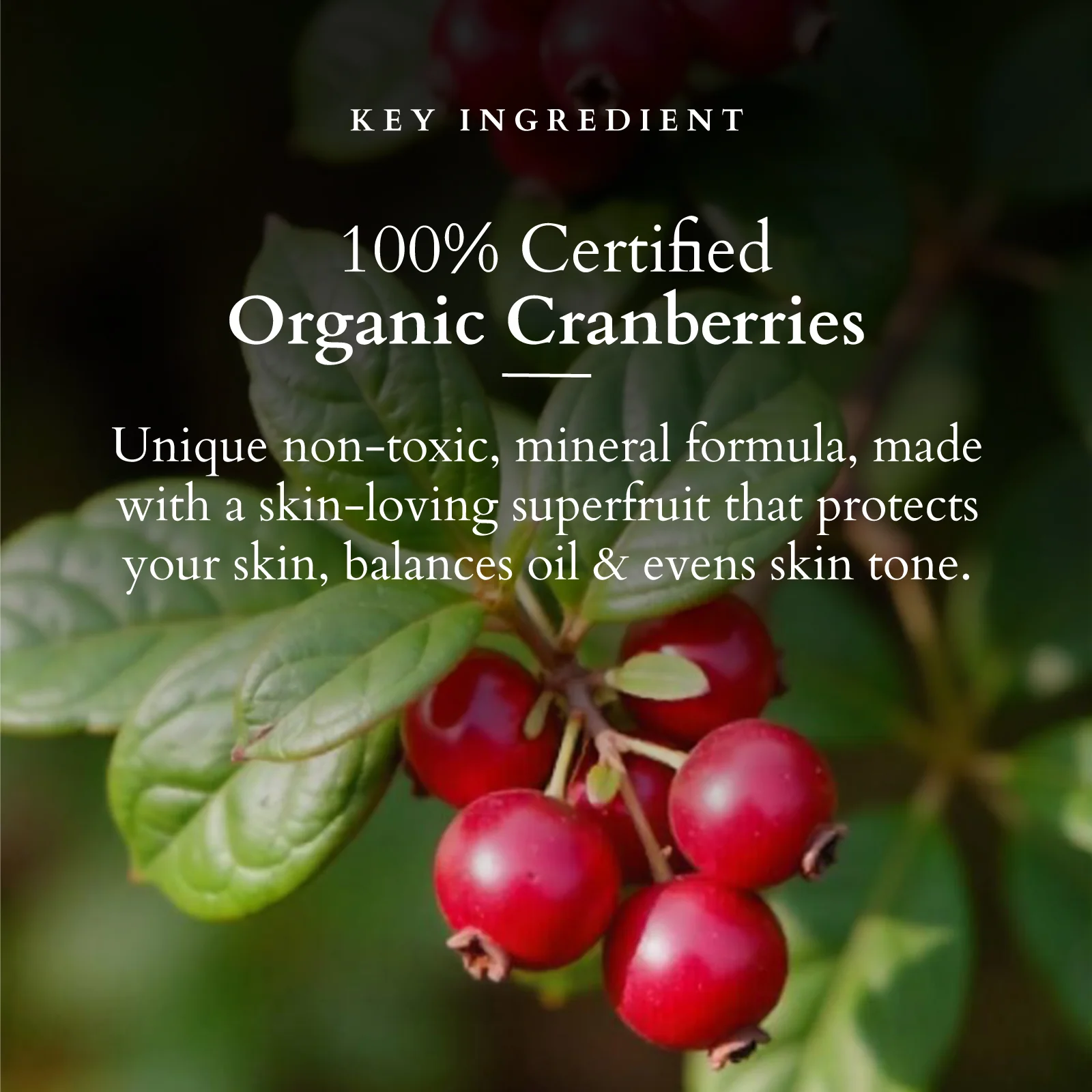 Organics+ Ultra Matte Mineral Sunscreen SPF 40 PA+++ - Image 2