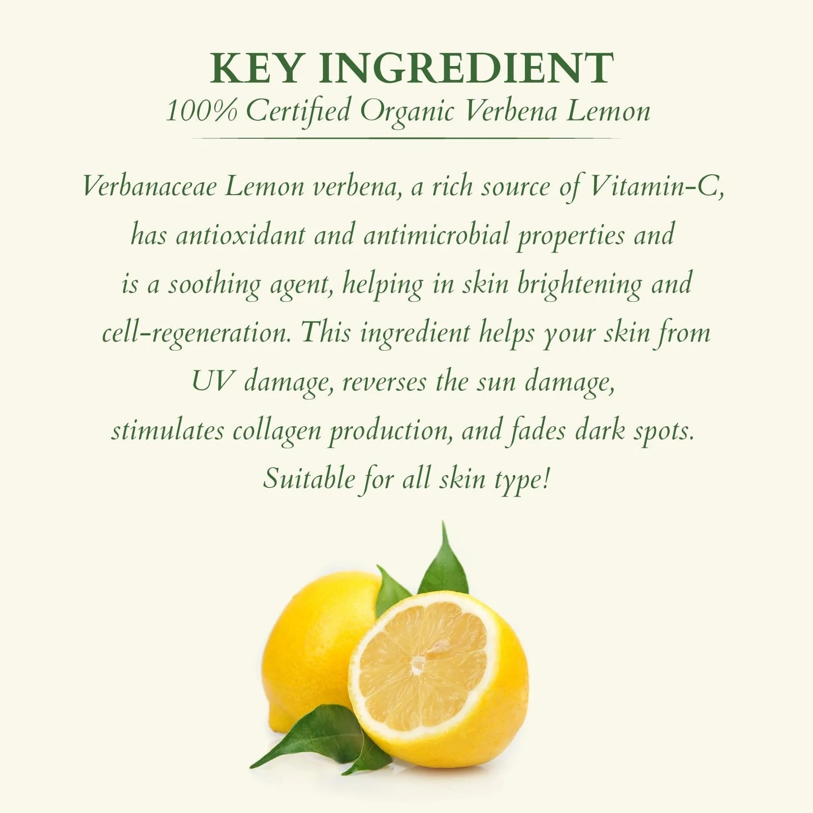 Organics+ Vitamin-C Fresh Glow Duo - Image 4