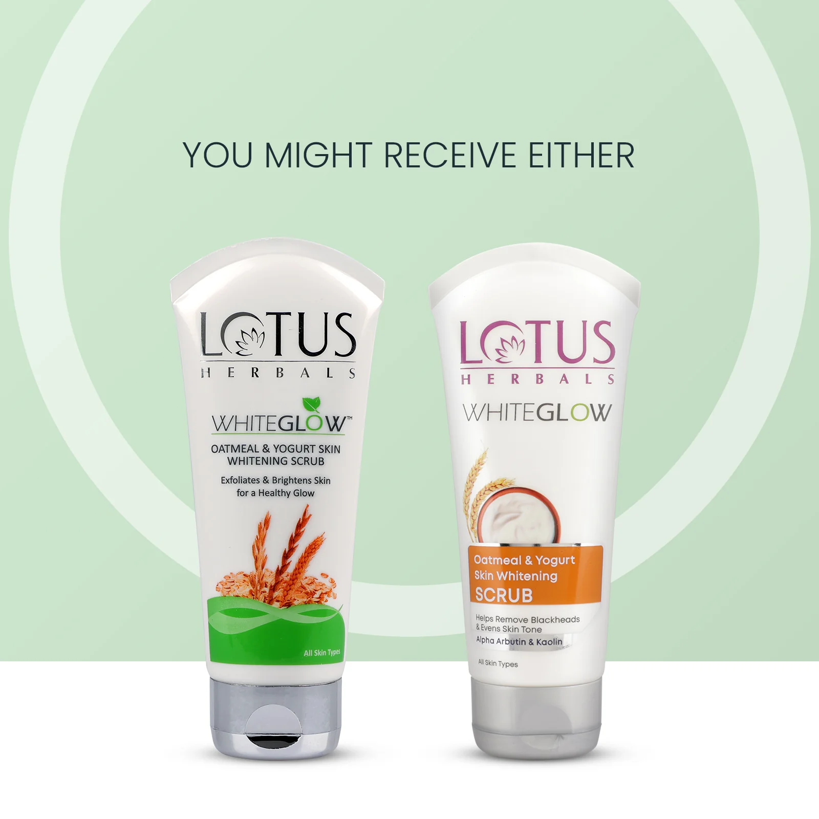 WhiteGlow Skin Brightening Oatmeal & Yogurt Scrub - Image 6