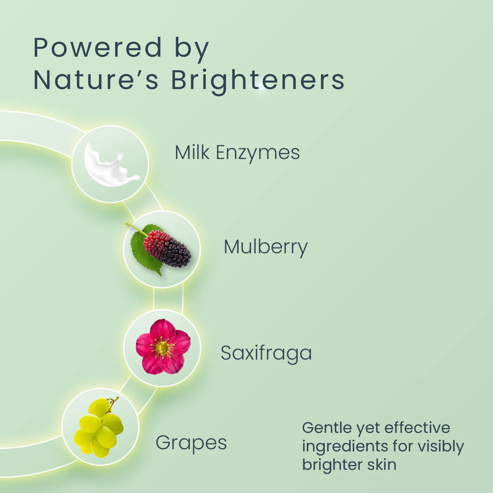 WhiteGlow Skin Brightening Serum+ Moisturiser - Image 6
