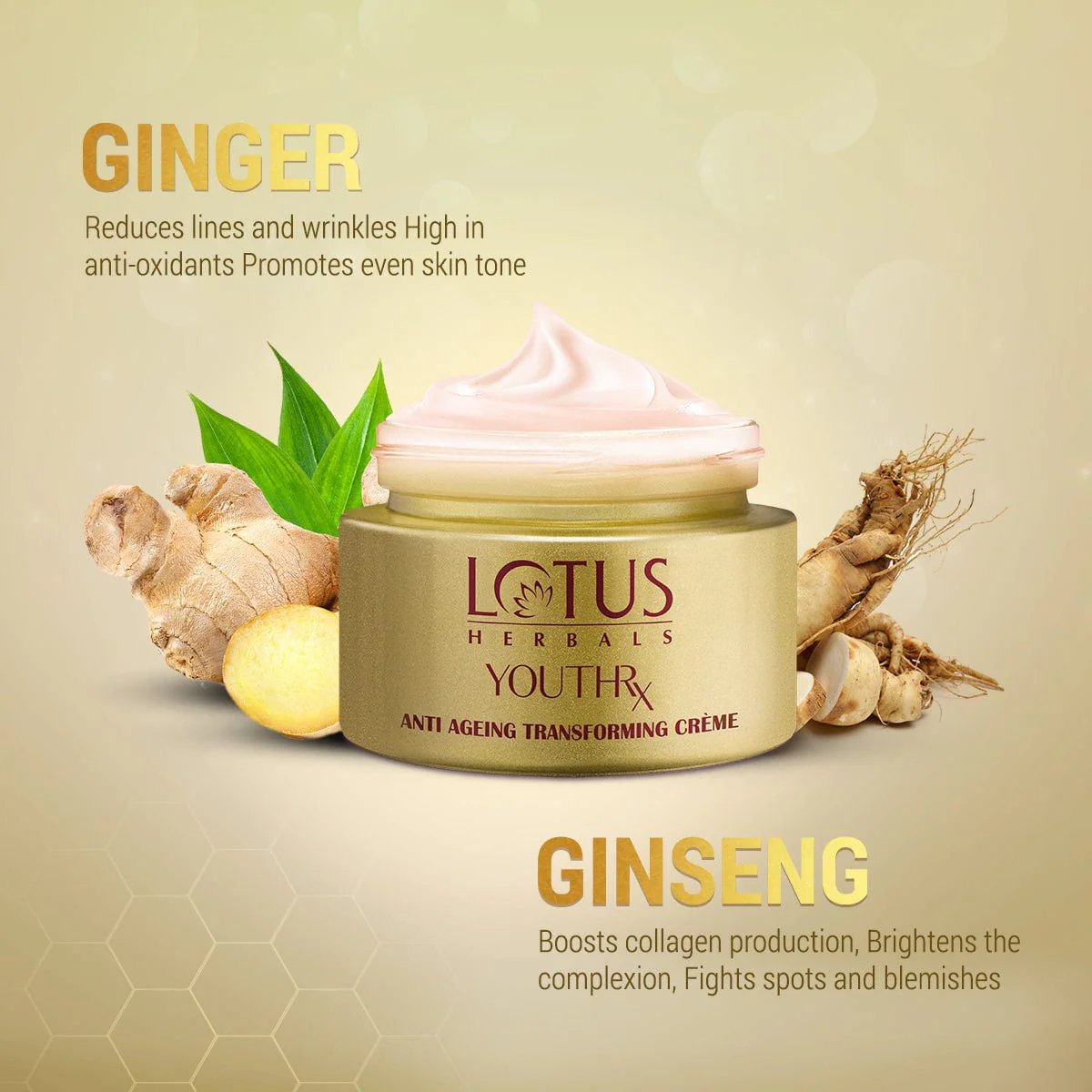 YouthRx Anti Ageing Transforming Cream SPF 25 | PA+++ - Image 6