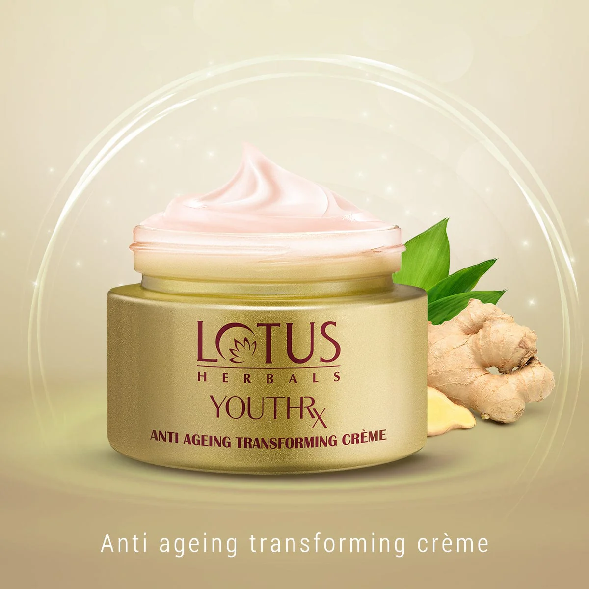 YouthRx Anti Ageing Transforming Cream SPF 25 | PA+++ - Image 7